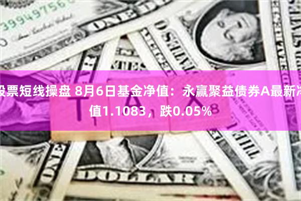 股票短线操盘 8月6日基金净值：永赢聚益债券A最新净值1.1083，跌0.05%