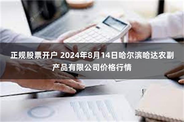 正规股票开户 2024年8月14日哈尔滨哈达农副产品有限公司价格行情