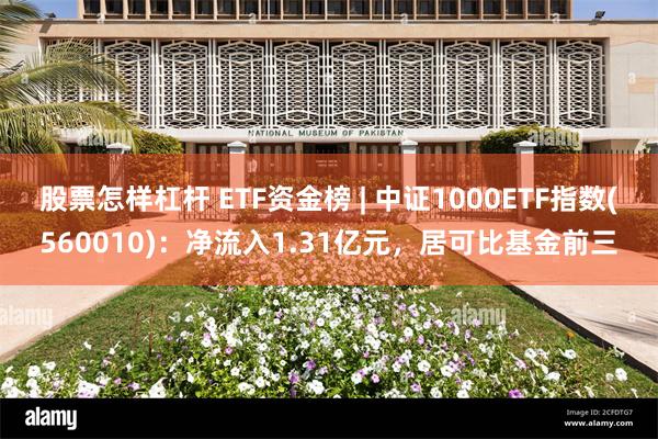 股票怎样杠杆 ETF资金榜 | 中证1000ETF指数(560010)：净流入1.31亿元，居可比基金前三