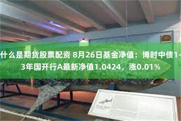 什么是期货股票配资 8月26日基金净值：博时中债1-3年