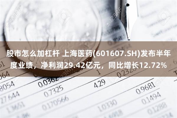 股市怎么加杠杆 上海医药(601607.SH)发布半年度业绩，净利润29.42亿元，同比增长12.72%