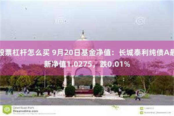 股票杠杆怎么买 9月20日基金净值：长城泰利纯债A最新净