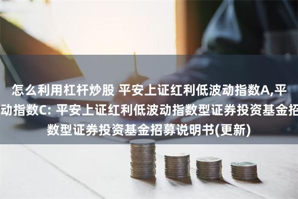 怎么利用杠杆炒股 平安上证红利低波动指数A,平安上证红利低波动指数C: 平安上证红利低波动指数型证券投资基金招募说明书(更新)