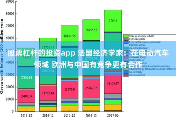 股票杠杆的投资app 法国经济学家：在电动汽车领域 欧洲与中国有竞争更有合作