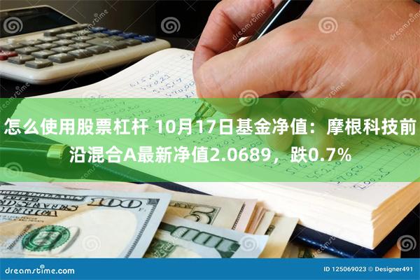 怎么使用股票杠杆 10月17日基金净值：摩根科技前沿混合