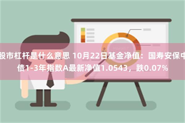 股市杠杆是什么意思 10月22日基金净值：国寿安保中债1-3年指数A最新净值1.0543，跌0.07%