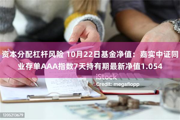 资本分配杠杆风险 10月22日基金净值：嘉实中证同业存单AAA指数7天持有期最新净值1.054