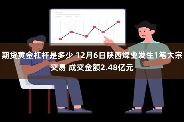 期货黄金杠杆是多少 12月6日陕西煤业发生1笔大宗交易 成交金额2.48亿元