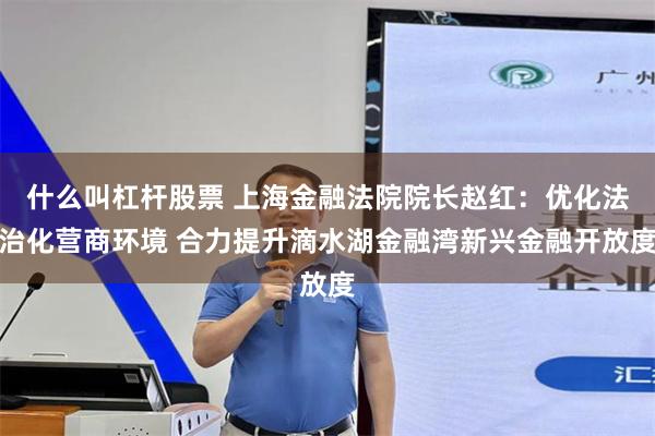 什么叫杠杆股票 上海金融法院院长赵红：优化法治化营商环境 合力提升滴水湖金融湾新兴金融开放度