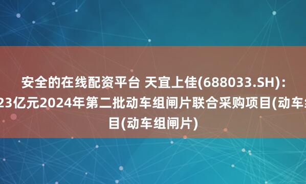 安全的在线配资平台 天宜上佳(688033.SH)：中标1.23亿元2024年第二批动车组闸片联合采购项目(动车组闸片)