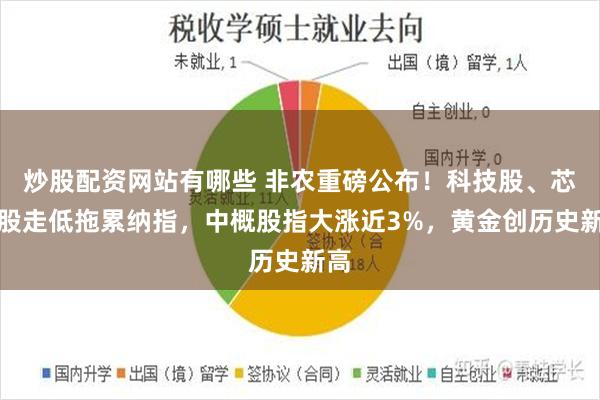 炒股配资网站有哪些 非农重磅公布！科技股、芯片股走低拖累纳指，中概股指大涨近3%，黄金创历史新高