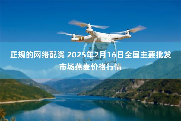 正规的网络配资 2025年2月16日全国主要批发市场燕麦价格行情