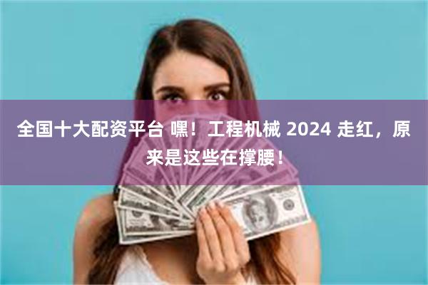 全国十大配资平台 嘿！工程机械 2024 走红，原来是这些在撑腰！