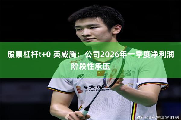 股票杠杆t+0 英威腾：公司2026年一季度净利润阶段性承压