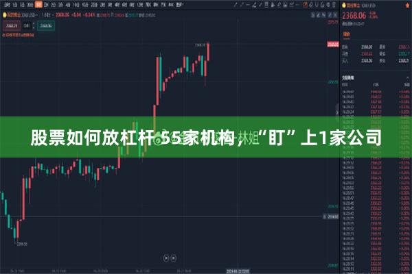 股票如何放杠杆 55家机构，“盯”上1家公司