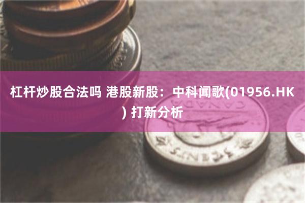杠杆炒股合法吗 港股新股：中科闻歌(01956.HK) 打新分析