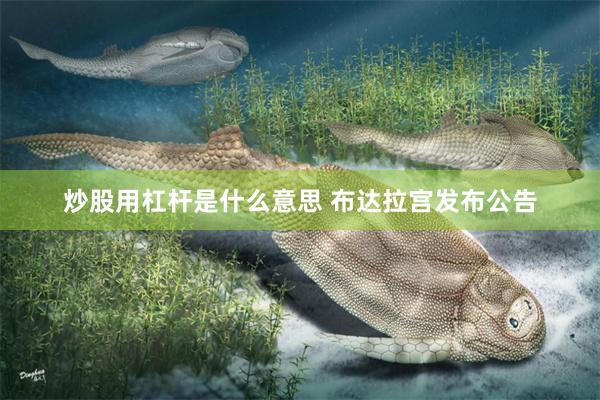 炒股用杠杆是什么意思 布达拉宫发布公告