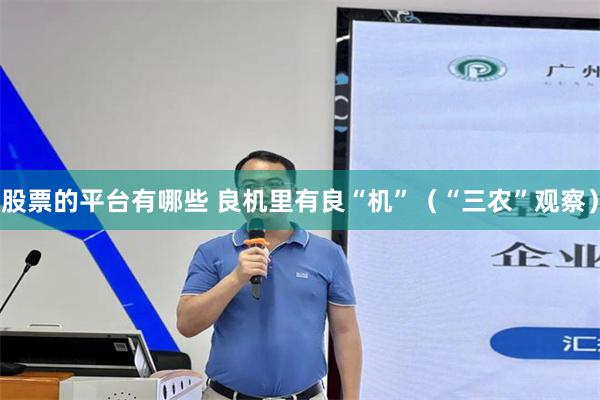 股票的平台有哪些 良机里有良“机”（“三农”观察）