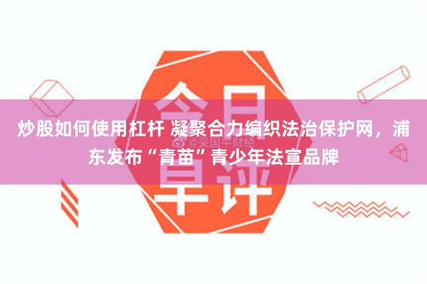 炒股如何使用杠杆 凝聚合力编织法治保护网，浦东发布“青苗”青少年法宣品牌