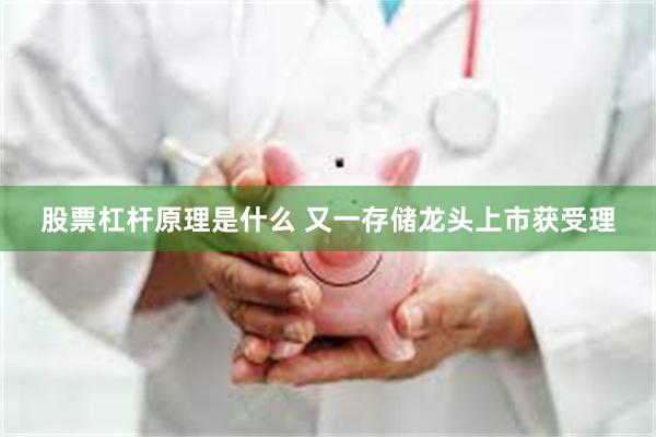 股票杠杆原理是什么 又一存储龙头上市获受理