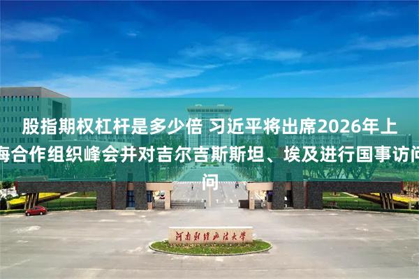 股指期权杠杆是多少倍 习近平将出席2026年上海合作组织峰会并对吉尔吉斯斯坦、埃及进行国事访问